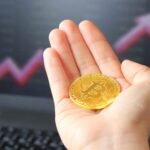 ビットコイン開発は少数精鋭──月間アクティブ開発者、40〜60人：NYDIG