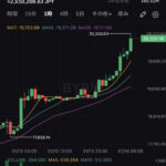 【速報】ビットコイン20,000ドル突破wwwwwwww【BTC】