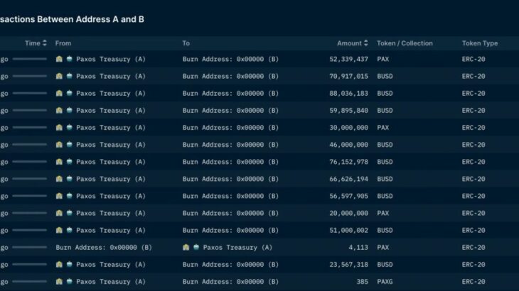 パクソス、7億ドルのバイナンスUSDを焼却