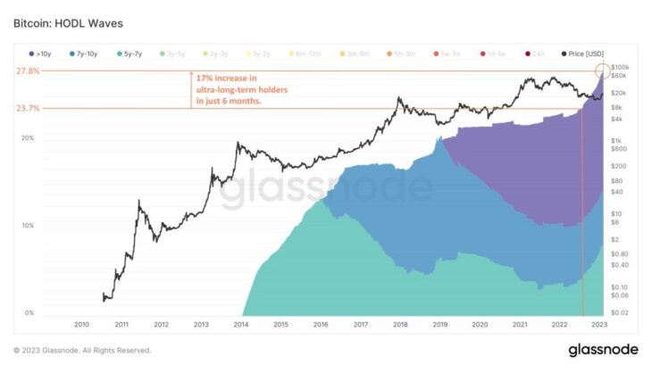 ブロックチェーンデータ、弱気相場でのビットコイン長期保有を明らかに