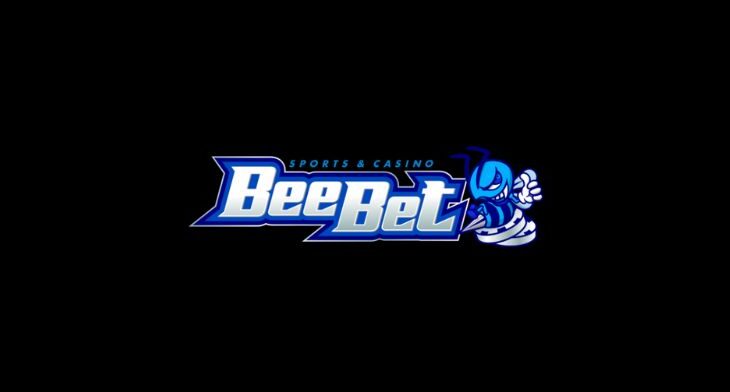 BeeBet(ビーベット)ビットコインの入金・出金方法と注意点を解説