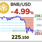 【速報】Binance銘柄のBNBが最大の危機。220ドルを割ると2億ドル精算か・・・