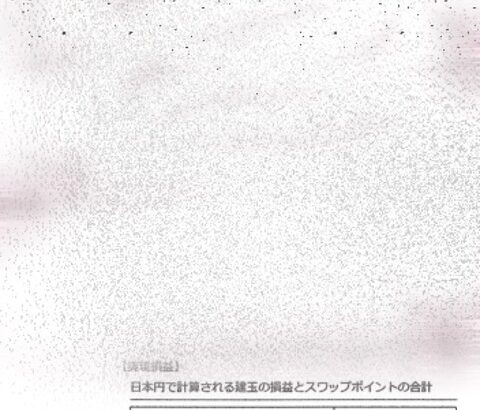 【画像】FP1級の天才が本気で2年間FXに挑んだ結果が凄すぎる