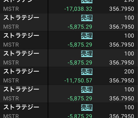 【悲報】ぼく、ビットコインを買うだけの会社の株を売却