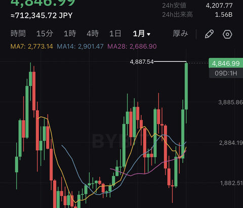 【投資】ビットコインはオワコン！これからはイーサリアムの時代か