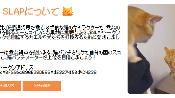 CatSlap（キャットスラップ）の買い方と将来性｜取引所の選び方からステーキングまで